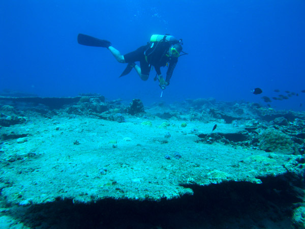 b0062363_1944813.jpg