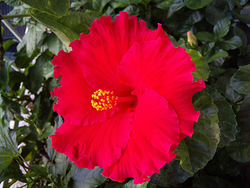b0101263_14144276.jpg