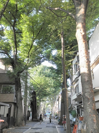 b0145863_2047399.jpg