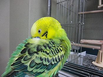 f0196665_0351935.jpg