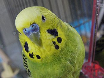 f0196665_0414114.jpg
