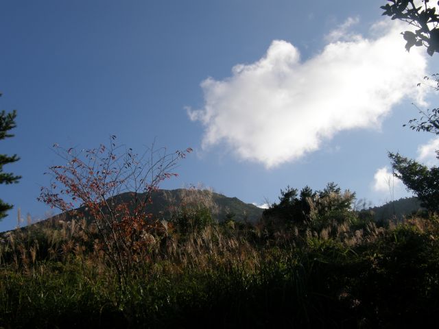c0042869_20104727.jpg