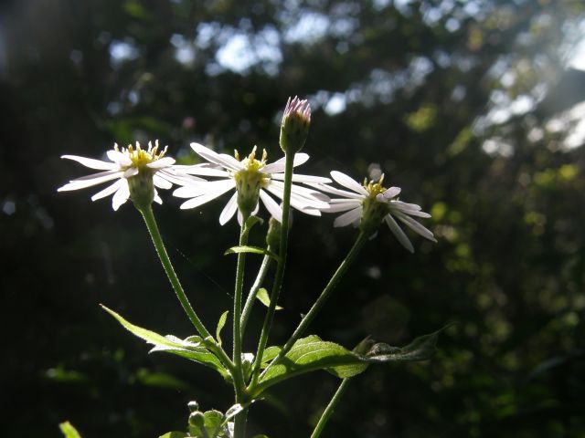 c0042869_20255549.jpg