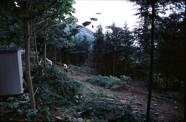 d0054076_730255.jpg