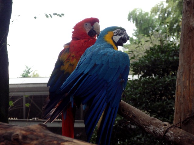 d0162276_2324196.jpg