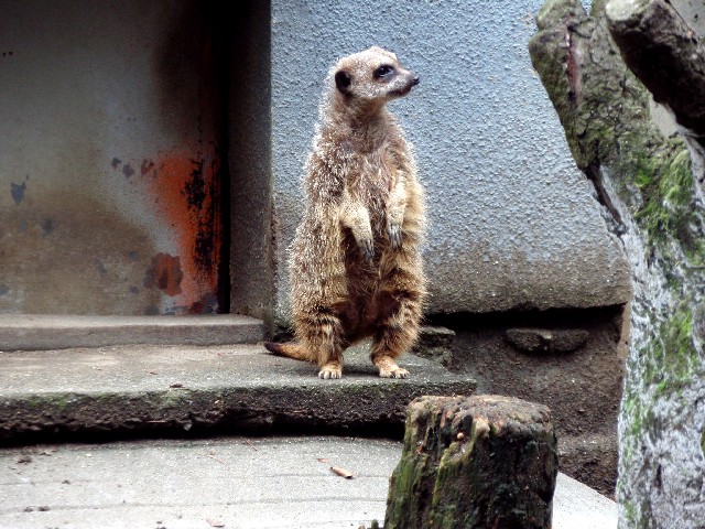 d0162276_23295178.jpg