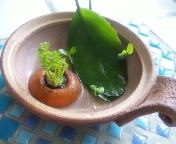 f0237680_865086.jpg