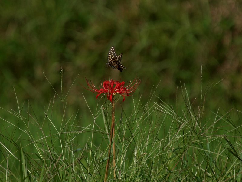 b0108186_23414518.jpg