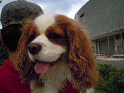 d0044986_7475898.jpg