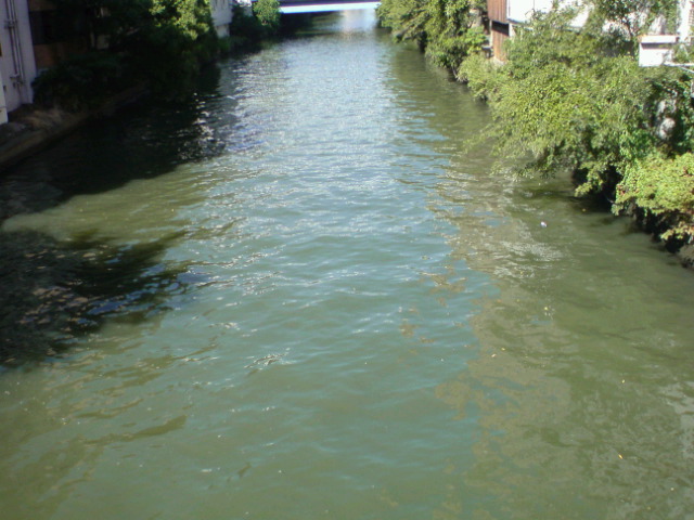 e0026495_1834911.jpg