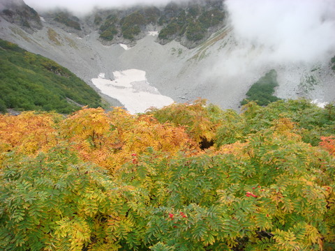 a0170098_1120558.jpg