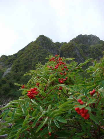 a0170098_11212650.jpg