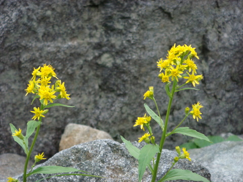 a0170098_11215685.jpg
