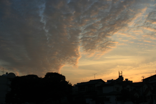 c0129498_1636179.jpg