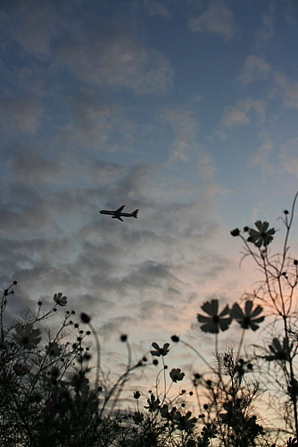 c0129498_1636417.jpg