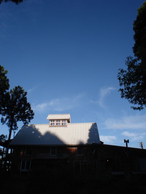 a0061599_7462358.jpg