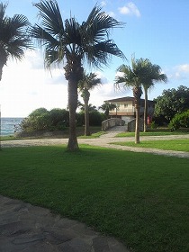 a0170099_1992111.jpg