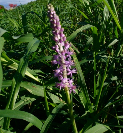 a0031000_0235519.jpg
