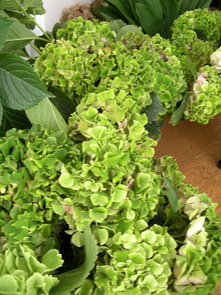 c0220700_2227282.jpg