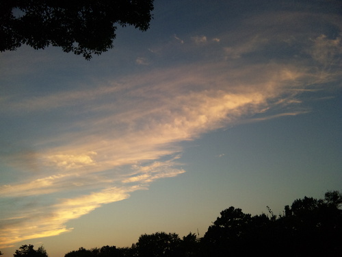e0087901_0383229.jpg