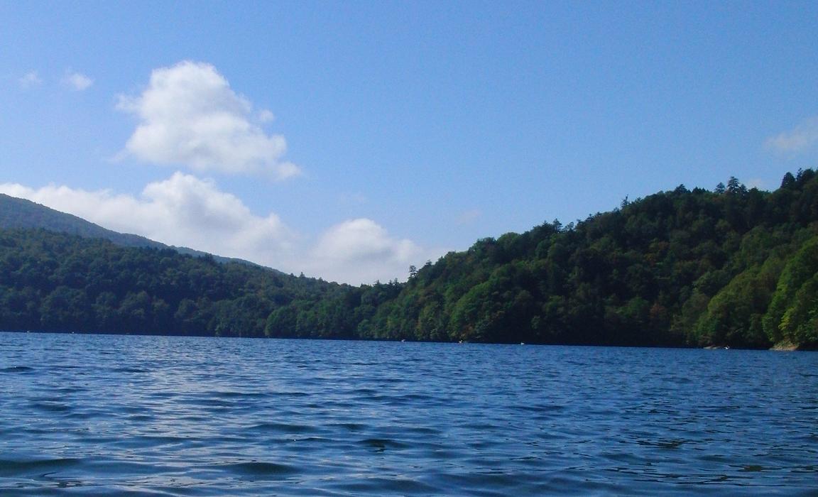 d0126708_19434645.jpg