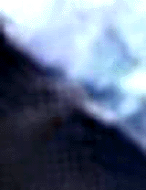 e0103408_13552127.gif