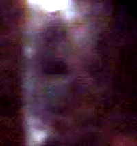 e0103408_13562518.gif