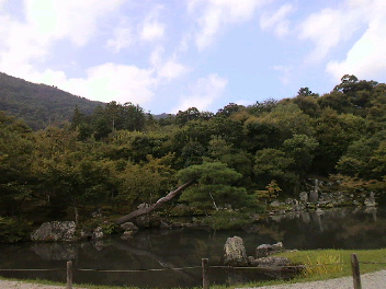 f0127408_21145191.jpg