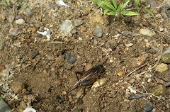 c0190010_2029370.jpg