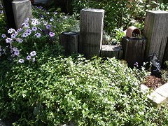 c0190010_20431947.jpg