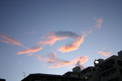 f0127610_20123252.jpg