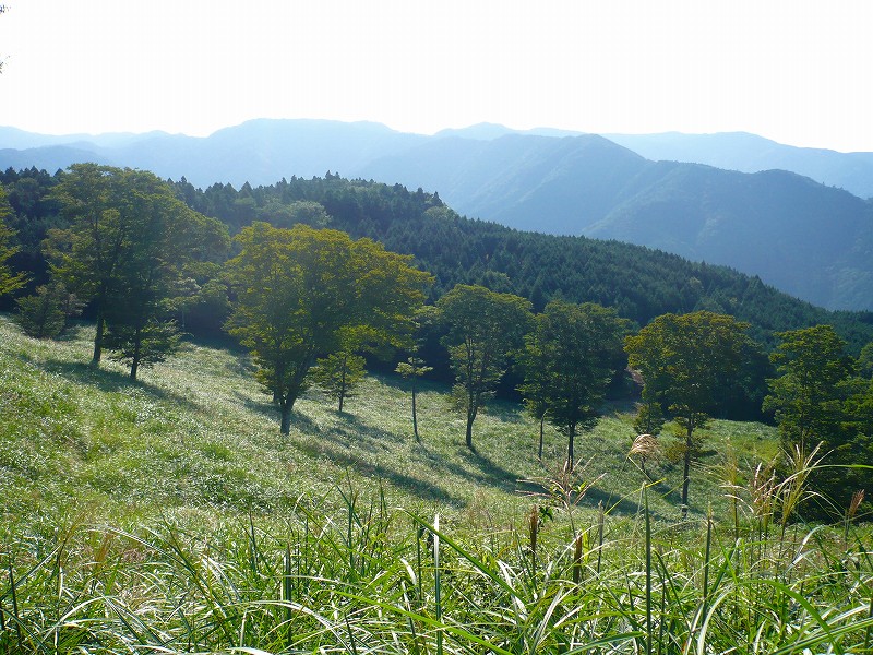 f0182513_20151438.jpg