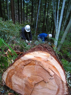 e0002820_22174677.jpg