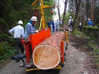 e0002820_22191670.jpg