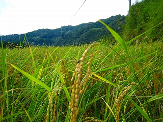 e0002820_22214791.jpg