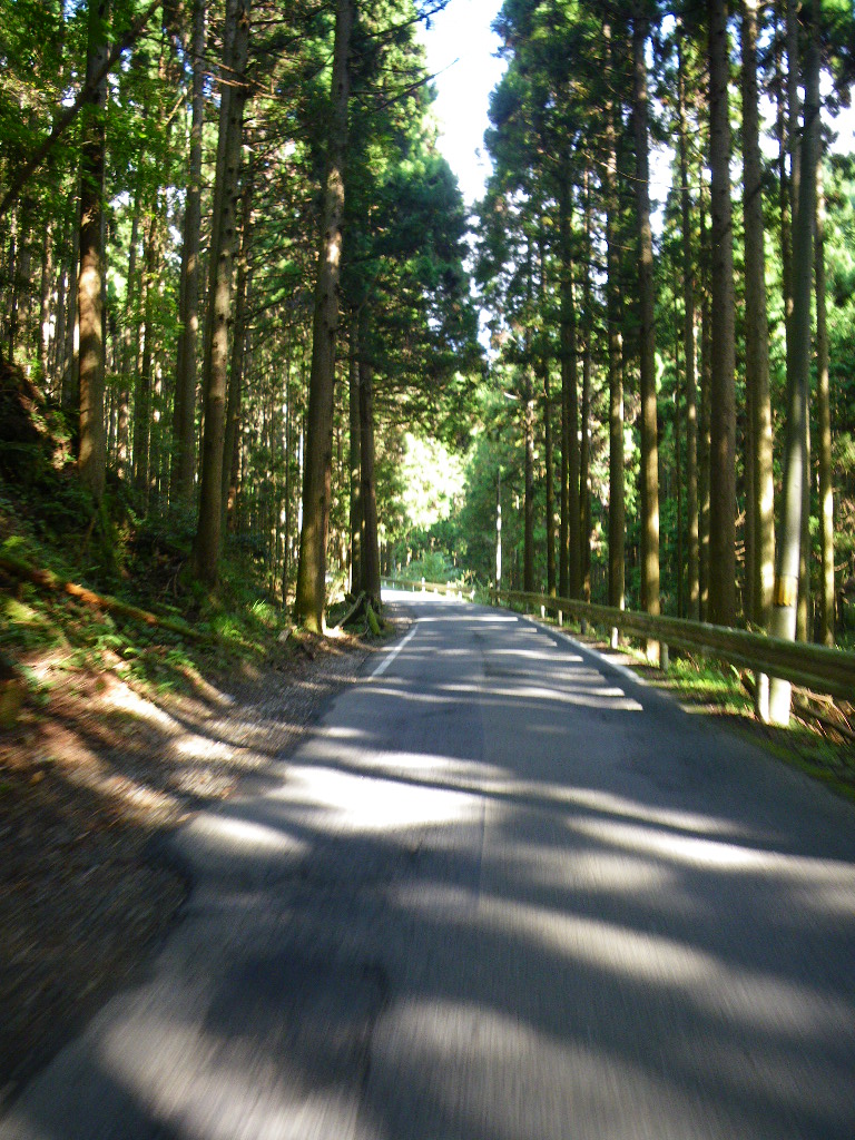 c0189724_2023568.jpg