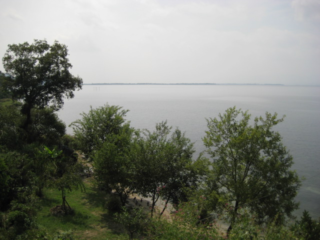 d0147727_87485.jpg