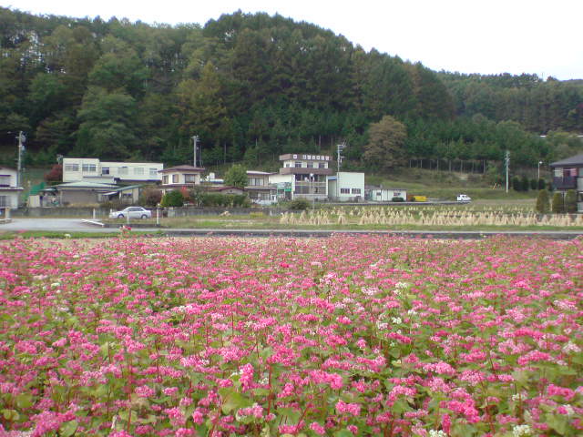e0016828_10375422.jpg