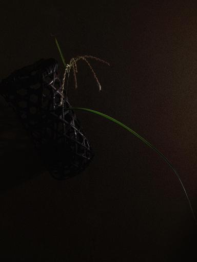 20100922.jpg