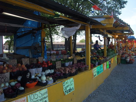 f0238932_14103461.jpg