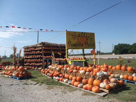 f0238932_14122415.jpg