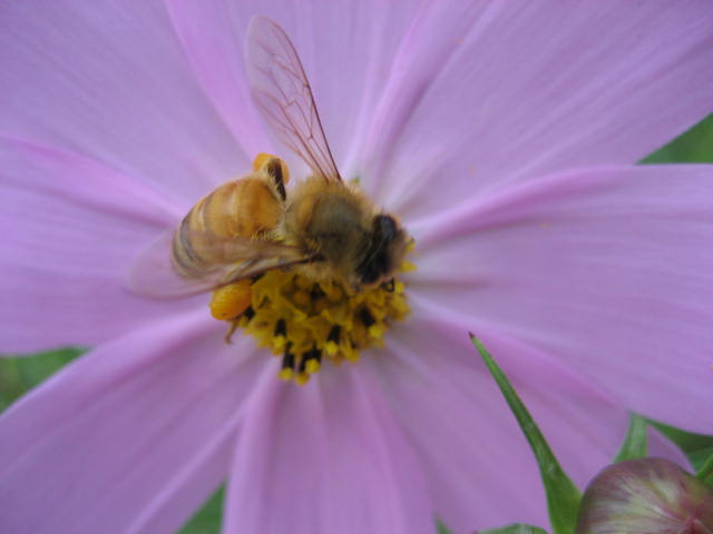 b0166435_1756103.jpg