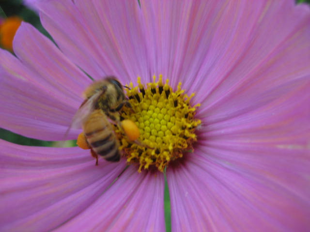 b0166435_1813971.jpg
