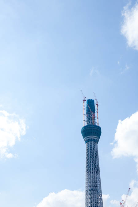 d0139939_21274370.jpg