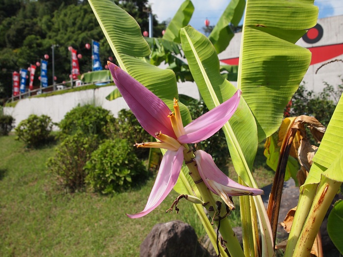 a0146442_9102412.jpg