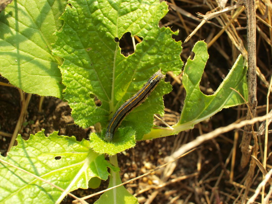c0072843_21105688.jpg