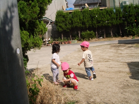 d0155152_211207.jpg