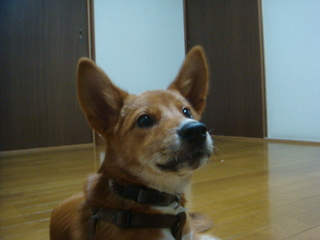 f0046854_21544794.jpg