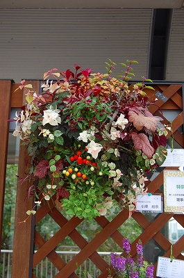 e0025655_653621.jpg