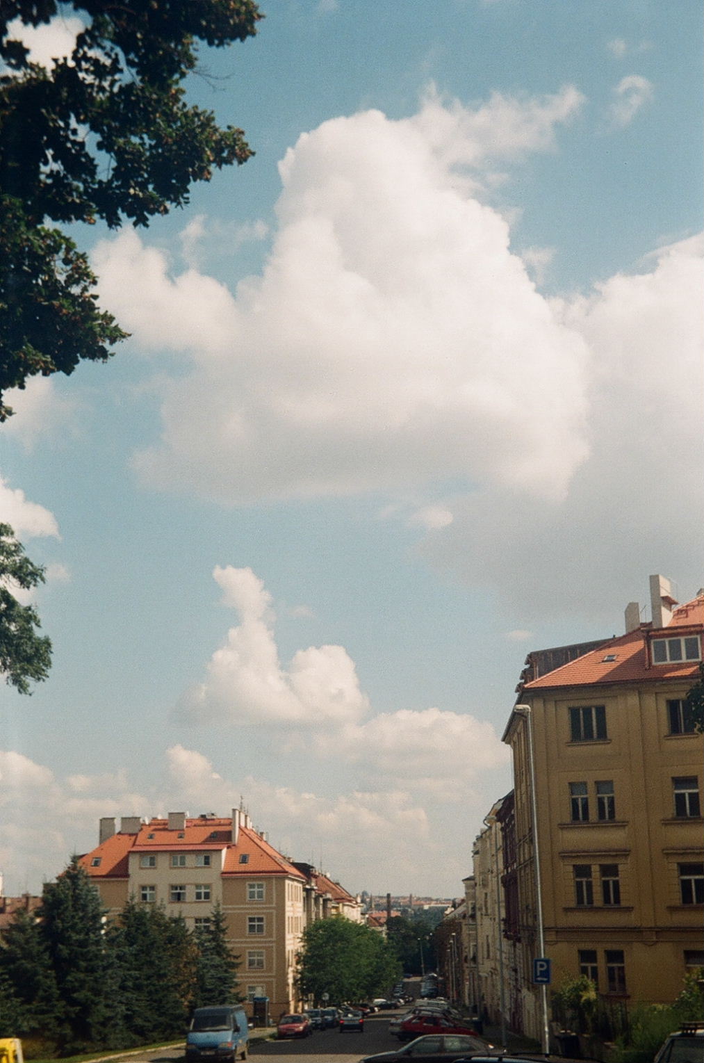 e0134658_3185848.jpg
